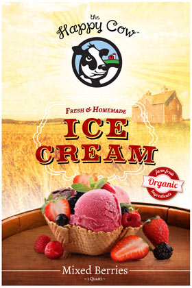 IceCream1